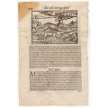 Κύπρος Χάρτης  Ξυλογραφία MUNSTER 1555