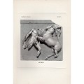 Μετόπες Παρθενώνα Αθήνα - Σετ έξι χαλκογραφιών 1888